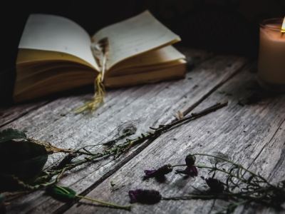 In Defense of the Romance&nbsp;Genre