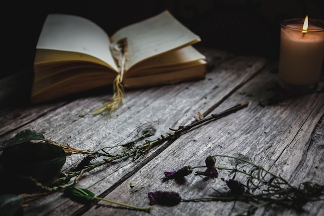 In Defense of the Romance&nbsp;Genre