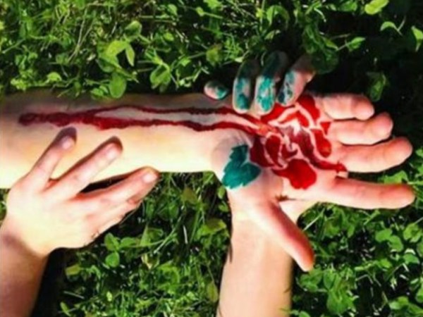 Coming Up Roses: Analysis of Visual&nbsp;Storytelling