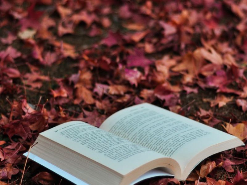 ExtraOrdinary Endings: ARC Review of V.E Schwab’s&nbsp;Victorious