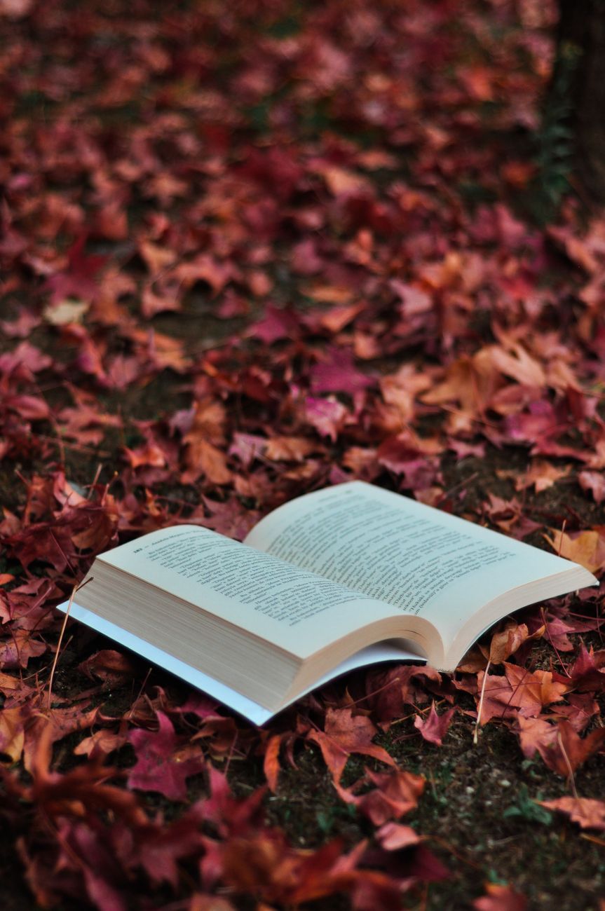ExtraOrdinary Endings: ARC Review of V.E Schwab’s Victorious